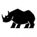 Save the Rhino International